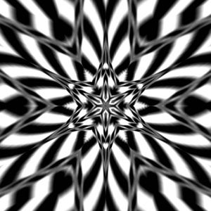 Meet your Posher, Todd